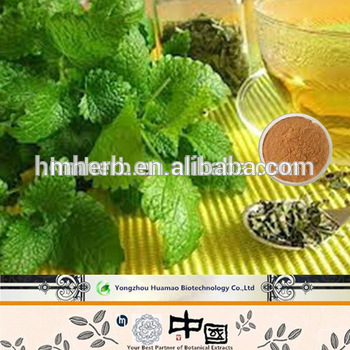 Natural Lemon Balm Extract (Melissa Extract)